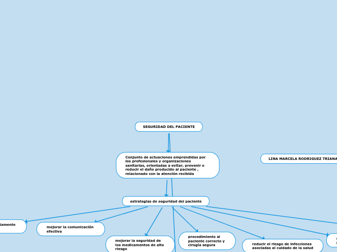 Seguridad Del Paciente Mind Map 5407